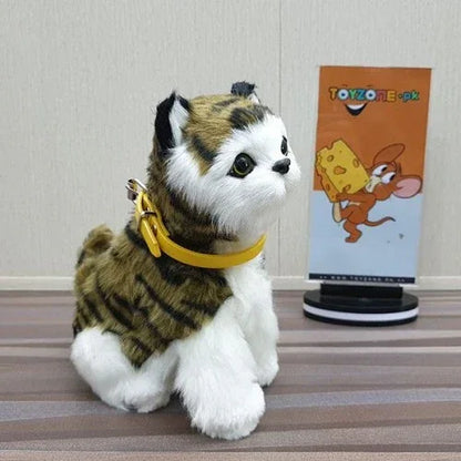 punched face persian cat (black & green) - Prozone