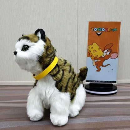 punched face persian cat (black & green) - Prozone