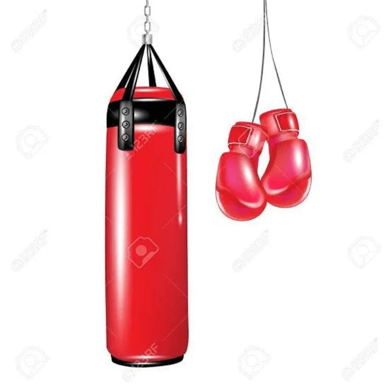 boxing punching bag with boxing gloves - Prozone