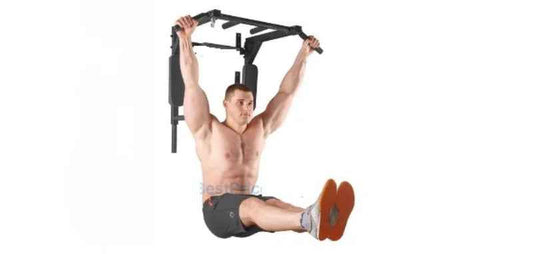 Portable Wall Mounted Pull Up Bar - Chin Up Bar With Dip Bar - Prozone