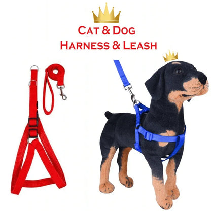 No pull puppy harness with leash - Prozone