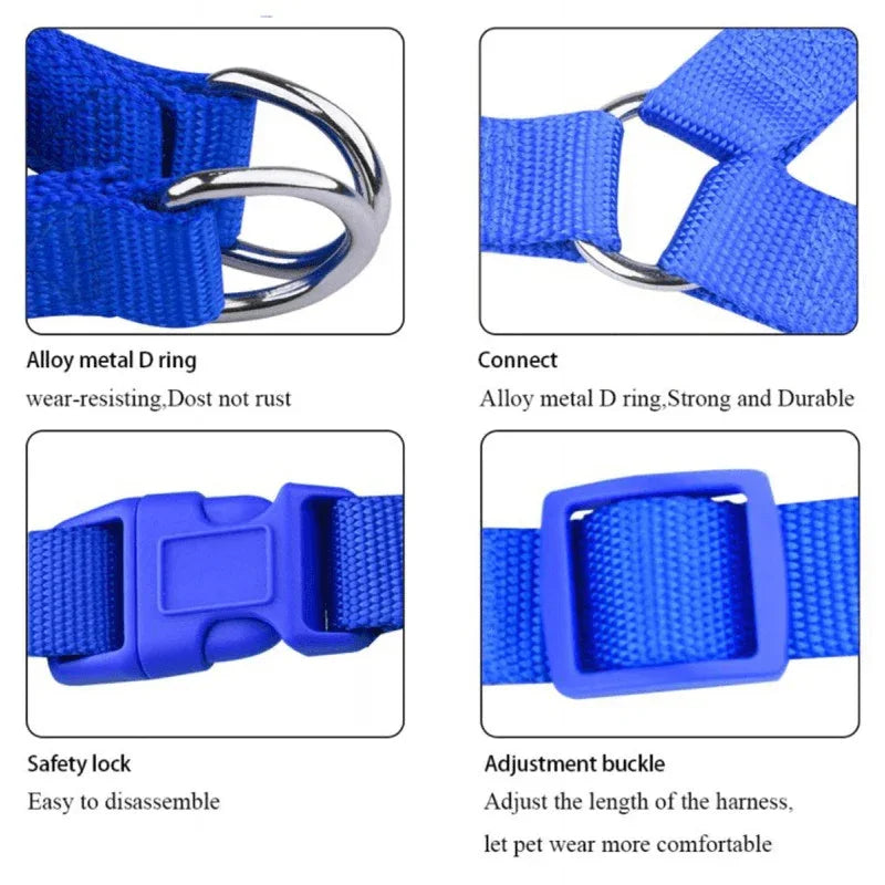 No pull puppy harness with leash - Prozone