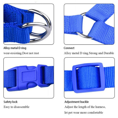 No pull puppy harness with leash - Prozone