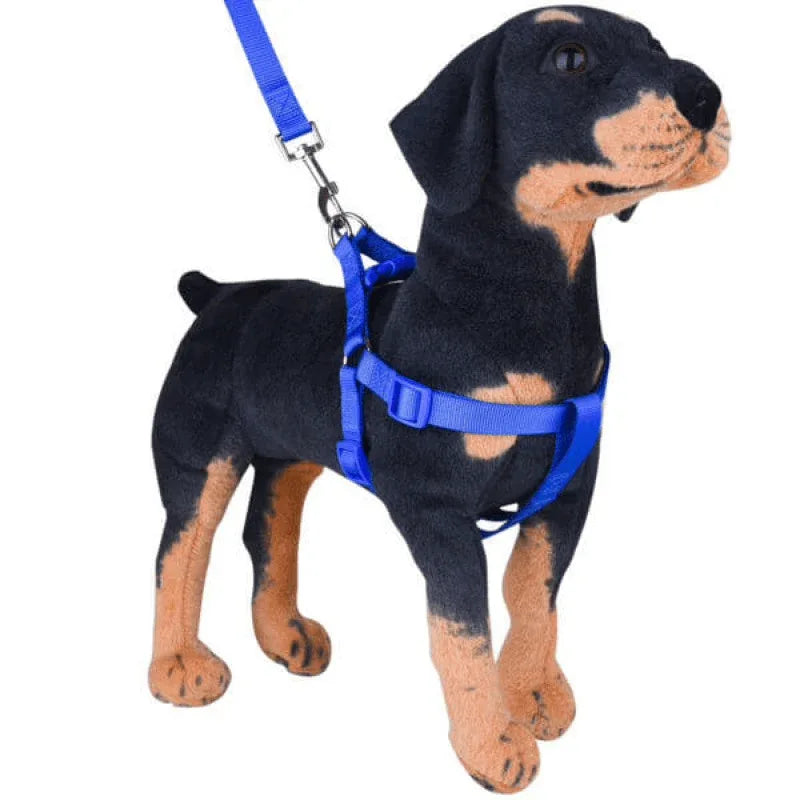 No pull puppy harness with leash - Prozone